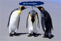 Sales meeting új hullám